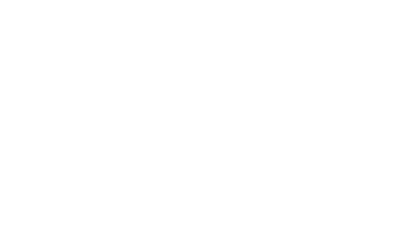 AI Solution Company Logo
